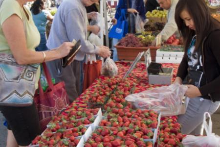 Fresh, Local, and Delicious: The Real Perks of Farmers Markets